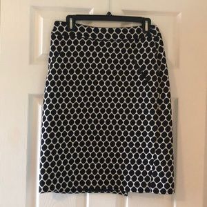 Pencil Skirt (Winter)